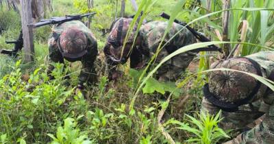 Los pliegos exigen que el glifosato tenga una concentración de 480 gramos por litro / Foto: cortesía Fuerzas Militares de Colombia