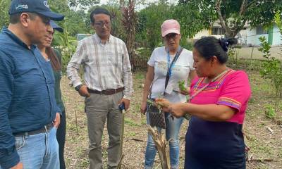 El objetivo es asegurar la disponibilidad de granos y semillas en la cantidad y calidad requerida / Foto: cortesía Ministerio de Agricultura
