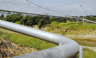 OCP reiniciará operaciones tras suspensión por erosión / Foto: EFE 