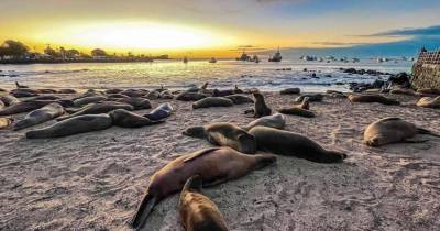 El Banco Mundial acompañó este proceso a través de diversos estudios y proyectos / Foto: cortesía Banco Mundial