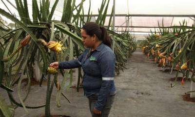 Foto: El Comercio