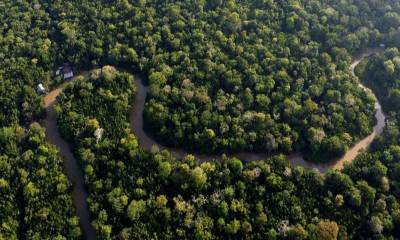 El hallazgo fue confirmado por el Instituto de Investigaciones de la Amazonía Peruana / Foto: cortesía El Nuevo Día