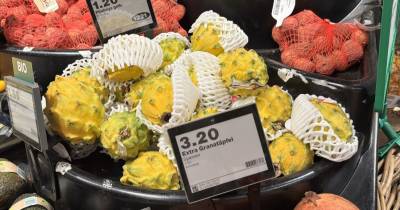 Ecuador envió al exterior más de 52.800 toneladas de pitahaya / Foto: El Oriente