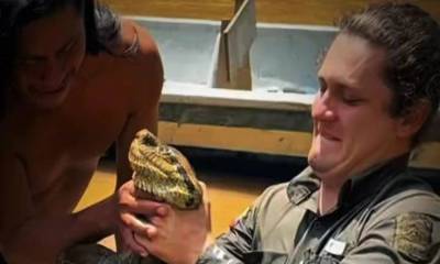 De acuerdo con la UICN, la anaconda verde está catalogada a nivel global como Preocupación Menor / Foto: cortesía Sucúa TV 