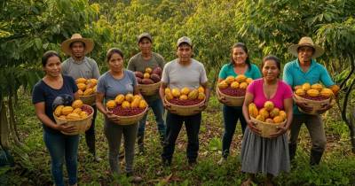 Los productores registrados tendrán algunos beneficios / Foto: cortesía MAGP