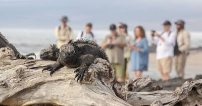 Desde que octubre de 2024 están vigentes las nuevas tasas de ingreso al Parque Nacional Galápagos / Foto: cortesía Parque Nacional Galápagos