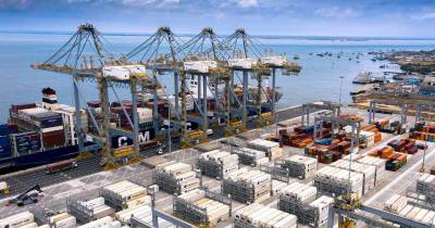 La terminal portuaria registró valores crecientes en el índice: 34 en 2020, 95 en 2023 y 107 en 2024 / Foto: cortesía DP World