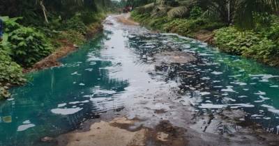 Principales noticias de Ecuador hoy - 29 de octubre de 2025 / Foto: cortesía Cuerpo de Bomberos de Quinindé