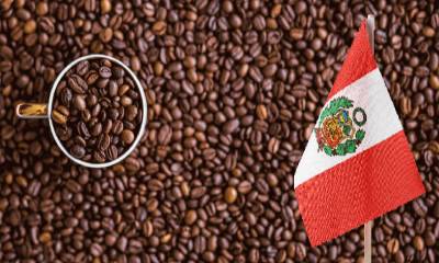 En 2025, el cacao superó los $ 6,000 por tonelada y el café alcanzó precios récord / Foto: cortesía Point Andina