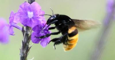 Según datos del Inabio, Ecuador es uno de los 20 países más biodiversos del mundo/ Foto: cortesía