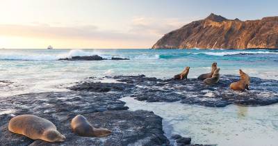 Galápagos es Patrimonio Natural de la Humanidad desde 1978 / Foto: cortesía Viceministerio de Turismo