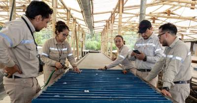 La minera australiana SolGold iniciará en 2026 las obras tempranas de su proyecto Cascabel / Foto: cortesía