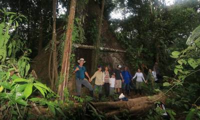 21 de marzo, Día Internacional de los Bosques / Foto: El Oriente
