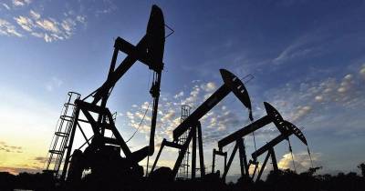 La AIE calcula que el consumo de petróleo aumentará este año en 730.000 barriles diarios respecto a 2024 / Foto: cortesía