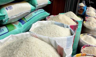 Productos básicos como arroz, azúcar, enlatados y granos están ingresando por pasos ilegales / Foto: cortesía