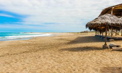 Foto: Shutterstock