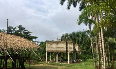 Foto: Plan V