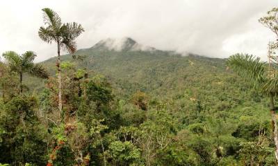 La Cordillera del Cóndor aún es una zona desconocida para los investigadores. Foto: La Hora