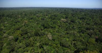  El Gobierno declaró toda la región como Reserva de Recursos Naturales Renovables / Foto: cortesía WWF Colombia