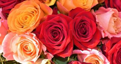Las flores crecieron 1,4 %, apoyadas por la recuperación del mercado ruso y la temporada de San Valentín / Foto: cortesía