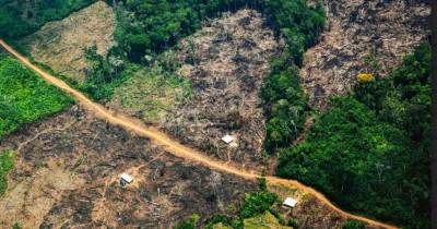 El presidente Gustavo Petro aseguró que su gobierno podría compensar la ausencia de estos fondos / Foto: cortesía Más Colombia