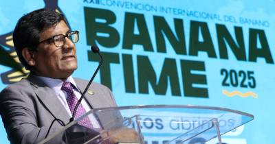 La propuesta es parte de las negociaciones para reducir los aranceles especiales impuestos por EE.UU. / Foto: EFE