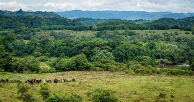 Con esta titulación, el Gobierno reconoce a 12.792 familias como legítimas poseedoras de sus territorios ancestrales / Foto: cortesía Red Bus