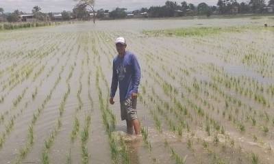 El objetivo es promover condiciones de comercio equitativas, disminuir la intermediación y prevenir distorsiones en los precios / Foto: cortesía MAGP