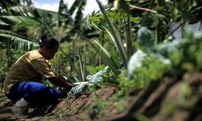 Sin embargo, las provincias de El Oriente tienen bajas tasas de empleo adecuado / Foto: cortesía BID