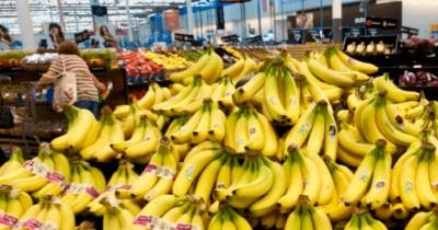 El banano es uno de los productos estrella de Ecuador en Estados Unidos / Foto: cortesía Banana Export