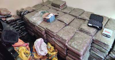 En el operativo se detuvo a un ciudadano identificado como Rennyer G. / Foto: cortesía Policía Nacional 