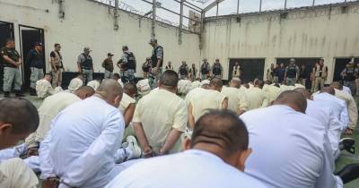 El sistema fue proporcionado por Departamento de Seguridad Nacional de Estados Unidos / Foto: EFE