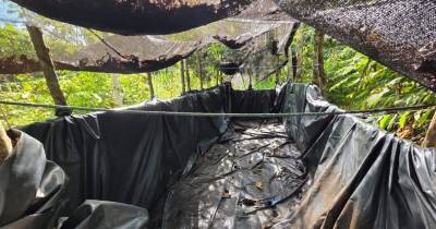 El hallazgo se produjo en el sector Juan Montalvo, parroquia Dureno / Foto: cortesía Ejército Ecuatoriano