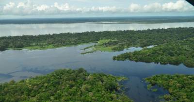 Estas designaciones son resultado de un proceso técnico que evaluó más de 300 posibles zonas en Sudamérica / Foto: cortesía InfoAmazonía