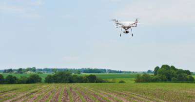 Los drones realizan mapeo y fumigación de precisión, evitando daños a las plantas y mejorando la seguridad de los operarios / Foto: cortesía