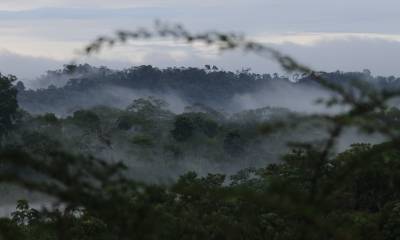 "Al país le queda el 66 % de su territorio (17 millones de hectáreas) con coberturas naturales que debemos conservar" / Foto: El Oriente