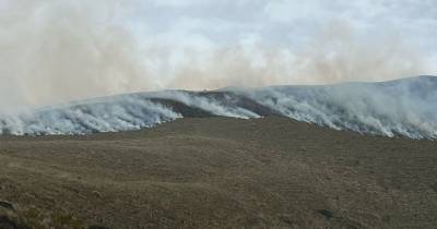 El fuego inició el lunes por causas aún desconocidas / Foto: cortesía Riesgos 