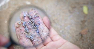 El trabajo en el laboratorio en la isla Santa Cruz permitirá entender cuál es el componente de plástico que está contaminando esa zona de las Islas Galápagos y también cómo impactan a los ecosistemas costero marinos./ Foto: cortesía