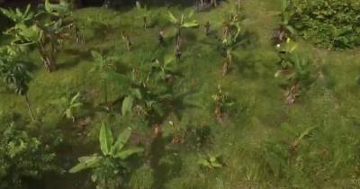 La acción se realizó durante una operación de reconocimiento y vigilancia fluvial en el río Putumayo / Foto: cortesía