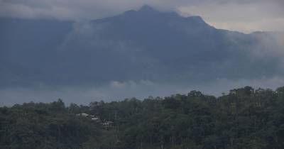 La ley también permitirá que la Policía Nacional y las Fuerzas Armadas apoyen la vigilancia de las reservas naturales / Foto: El Oriente