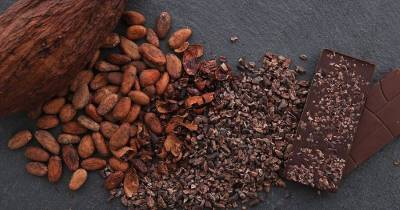 Expertos sugieren que Ecuador diversifique sus mercados de exportación y mejore la calidad del cacao / Foto: cortesía