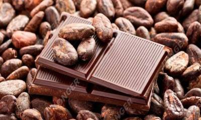 El cacao es el segundo producto no petrolero más importante del Ecuador y constituye la base de ingresos para más de 180.000 familias productoras / Foto: cortesía