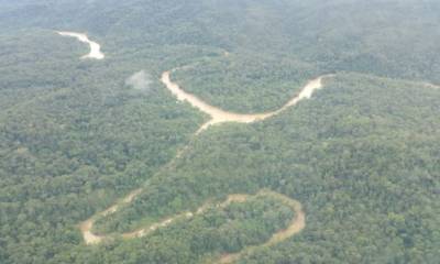Photo: Mogabay