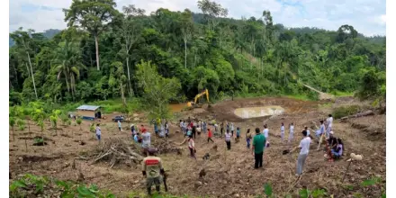Proyecto tecnológico mejora la producción de cacao en una comunidad de Napo