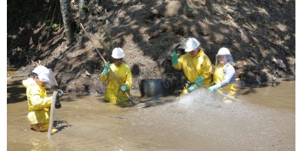 Petroecuador crea 913 empleos verdes y avanza en la recuperación ambiental