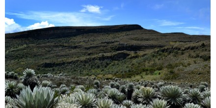 La UTPL estrena serie documental sobre los páramos