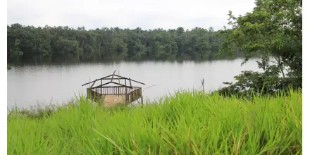 Investigadores desarrollan primer modelo de pesca sostenible para la Amazonía