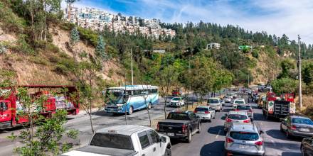 Pico y Placa Quito para hoy, jueves 9 de mayo de 2024