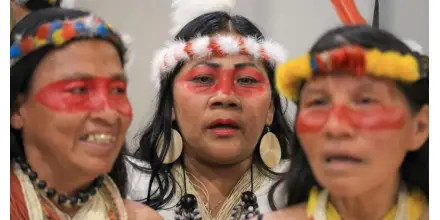 La mitad de 196 grupos indígenas aislados podría desaparecer en 10 años, alerta informe