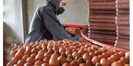 Principales noticias de Ecuador hoy - 2 de abril de 2026